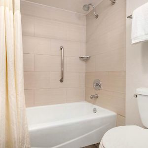 Studio met een Queen Size Bed
